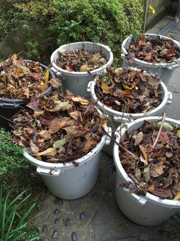 f:id:rotling:20151123151803j:image f:id:rotling:20151123151803j:image