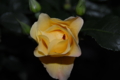 20160428174128