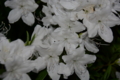 20160428174226