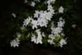 20160428174229
