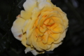 20160428174241
