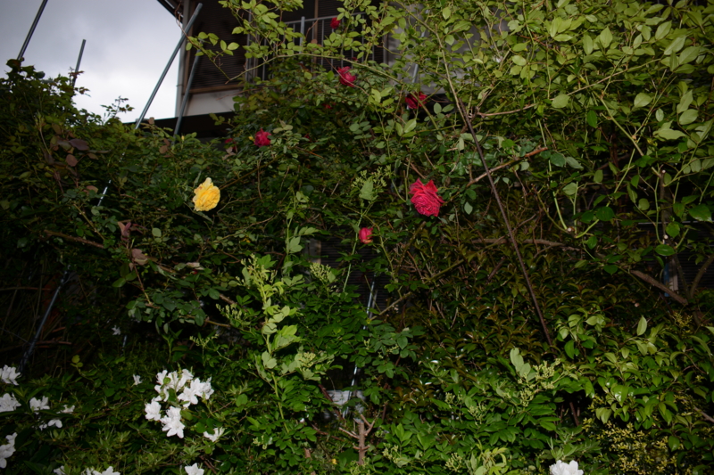 f:id:rotling:20160428174246j:image