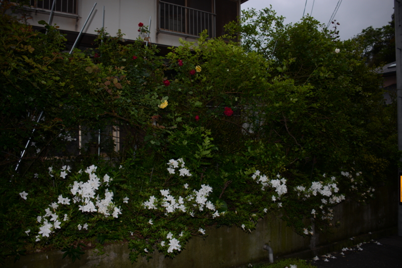 f:id:rotling:20160428174301j:image
