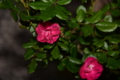 20160428174338