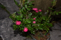 20160428174340