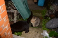 20160428174409
