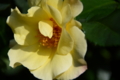 20160429082120