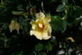 20160429082121