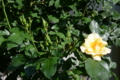 20160429082125
