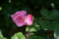 20160501122802