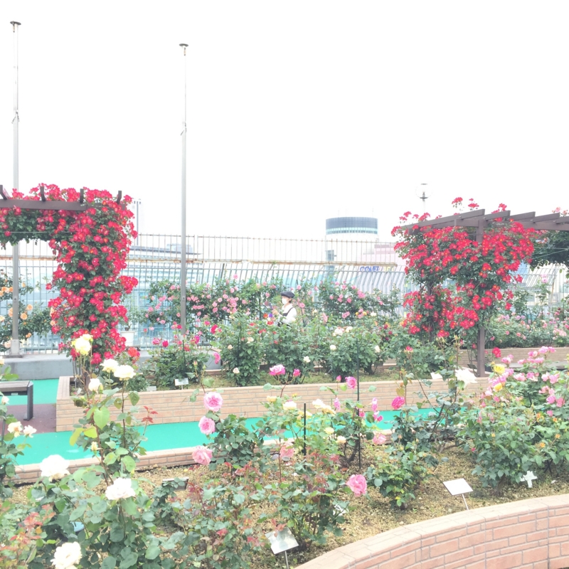 f:id:rotling:20160506133225j:image