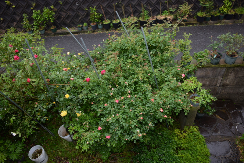 f:id:rotling:20160506163559j:image