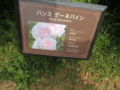[ハンスゲーネバイン]