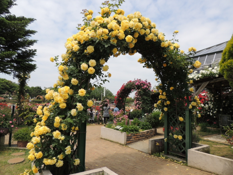 f:id:rotling:20160516104012j:image