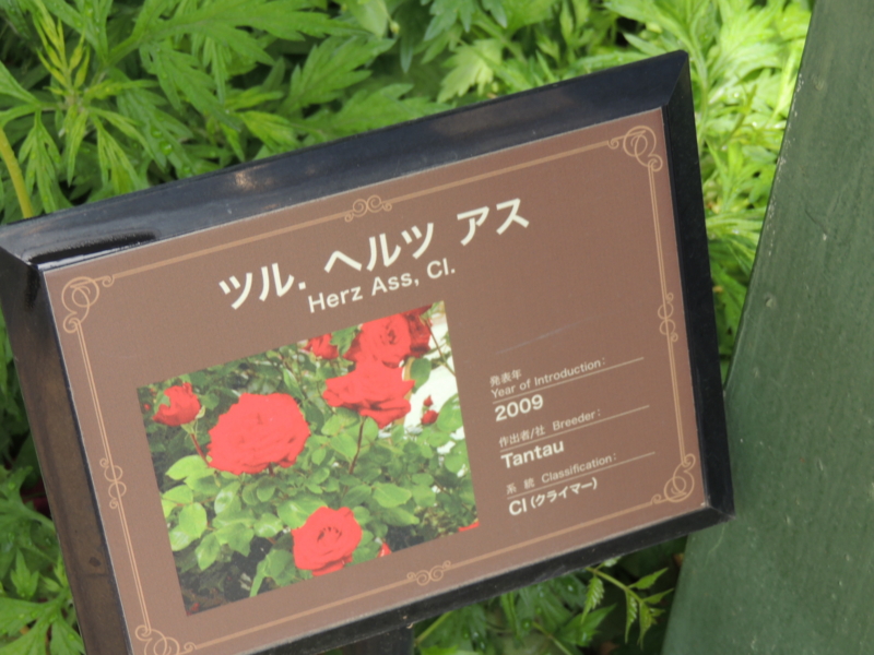 f:id:rotling:20160516104135j:image