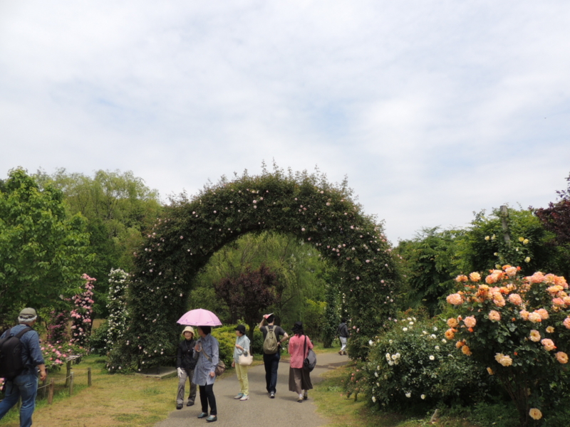 f:id:rotling:20160516105819j:image