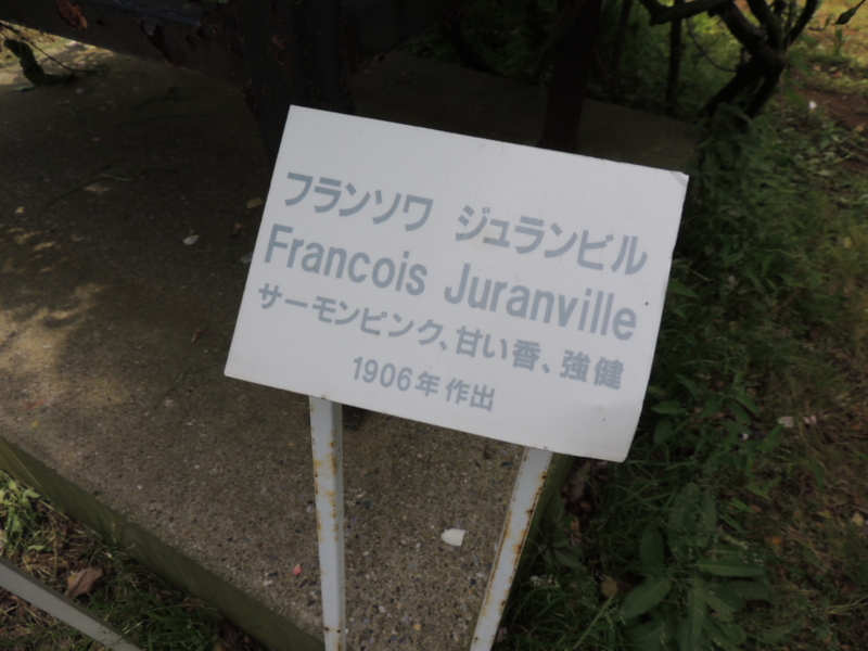 f:id:rotling:20160516105856j:image