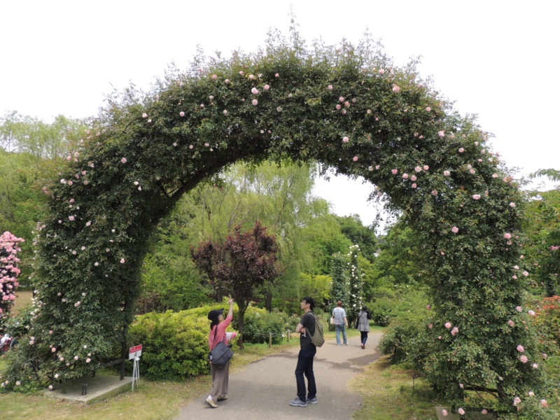 f:id:rotling:20160516105908j:image