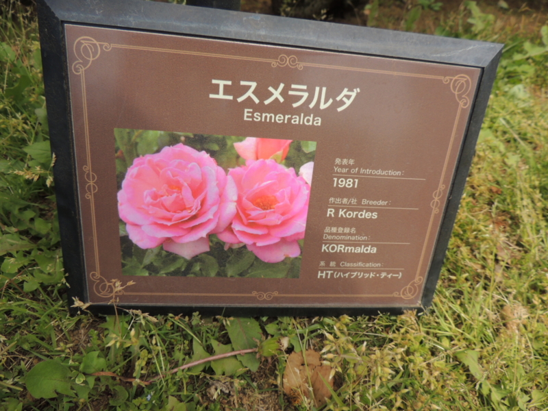 f:id:rotling:20160516110717j:image