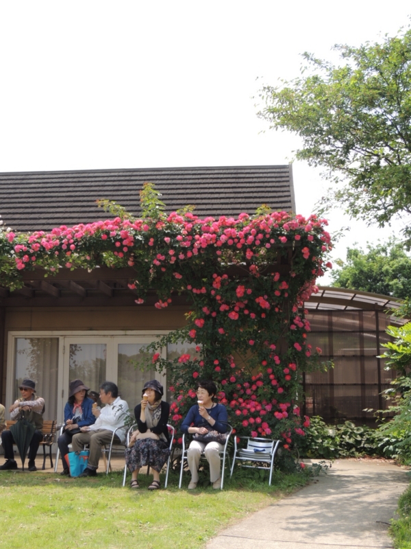 f:id:rotling:20160516111529j:image