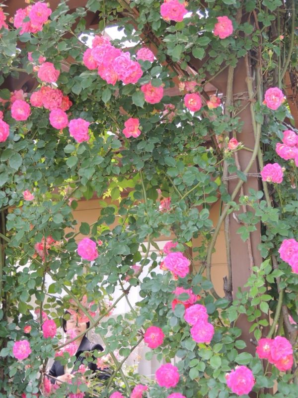 f:id:rotling:20160516111538j:image