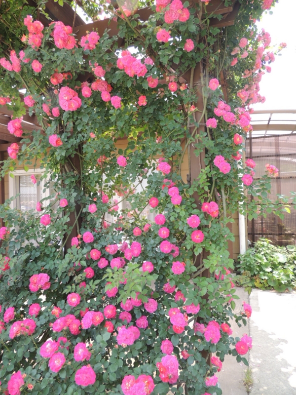 f:id:rotling:20160516111543j:image