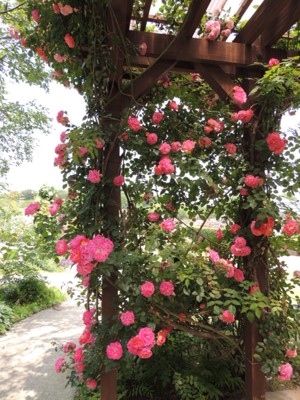 f:id:rotling:20160516111554j:image