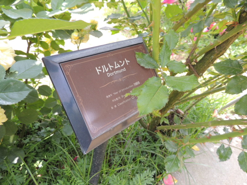 f:id:rotling:20160516113557j:image f:id:rotling:20160516113557j:image