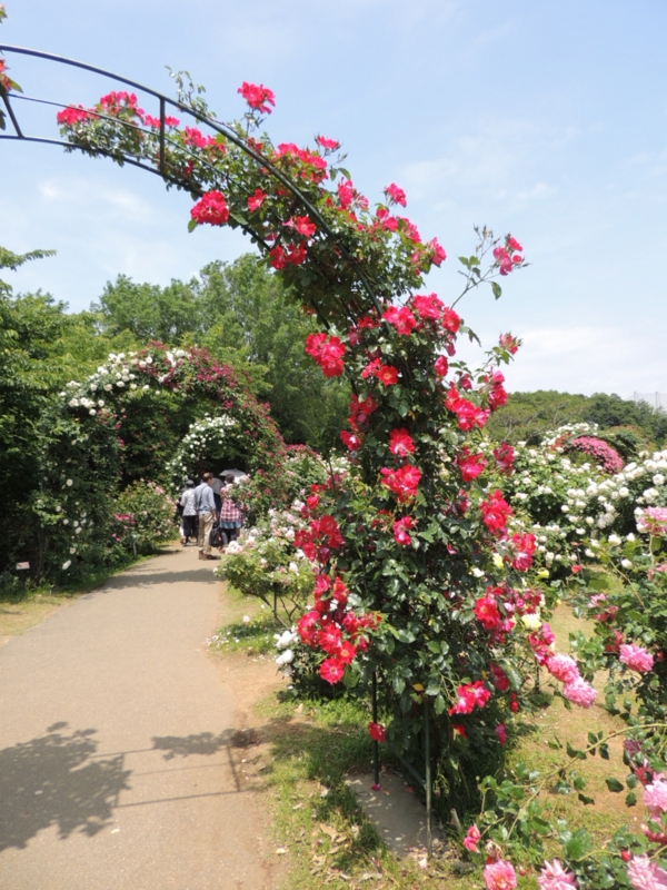 f:id:rotling:20160516113614j:image f:id:rotling:20160516113614j:image