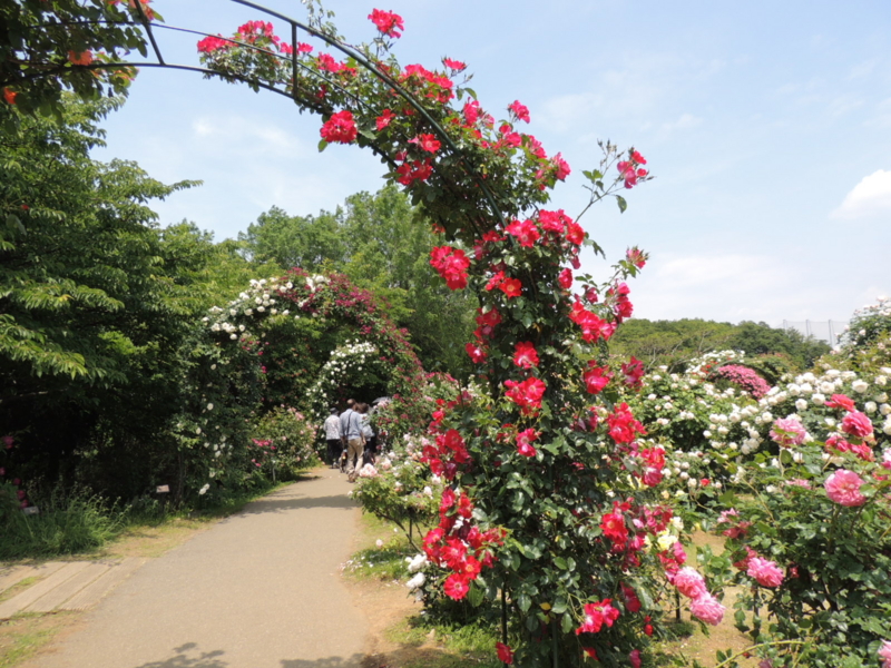 f:id:rotling:20160516113617j:image f:id:rotling:20160516113617j:image