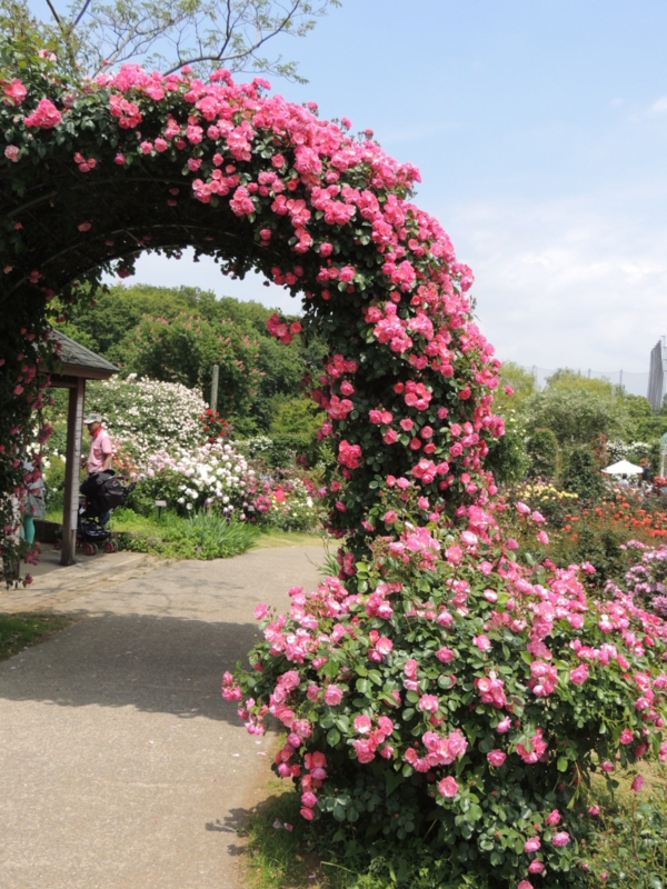 f:id:rotling:20160516114214j:image f:id:rotling:20160516114214j:image