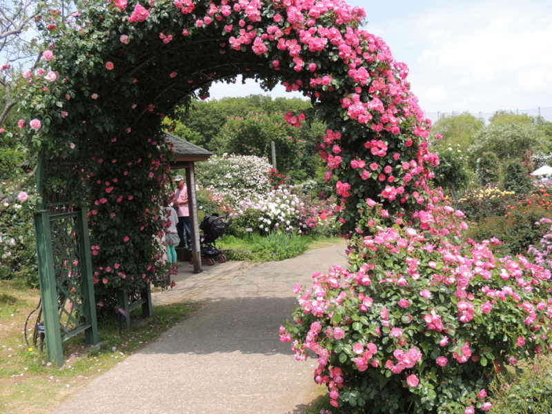 f:id:rotling:20160516114218j:image f:id:rotling:20160516114218j:image