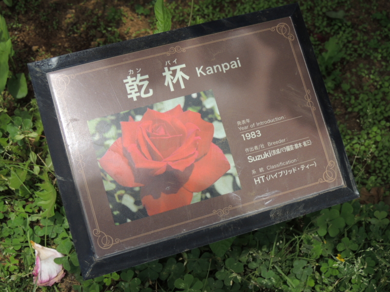 f:id:rotling:20160516122114j:image