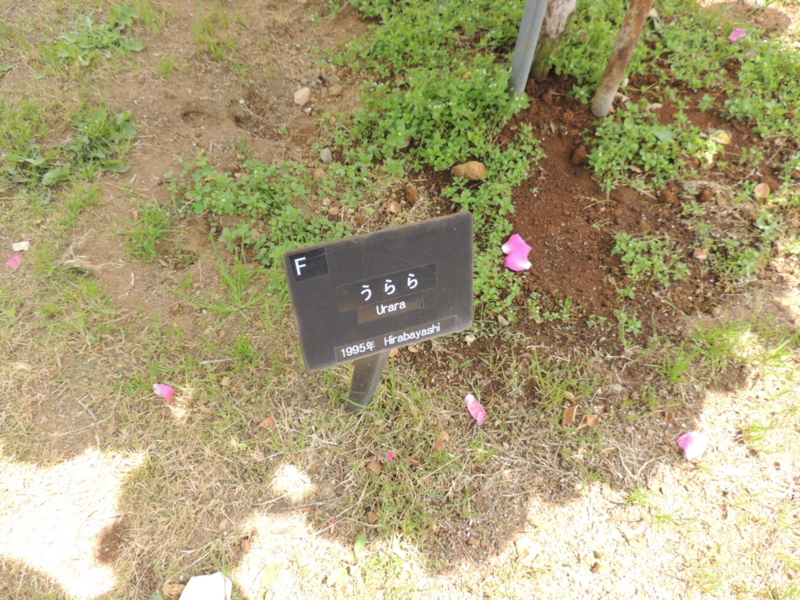 f:id:rotling:20160516122927j:image