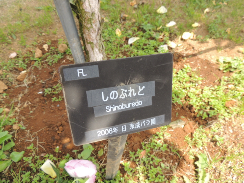 f:id:rotling:20160516122939j:image