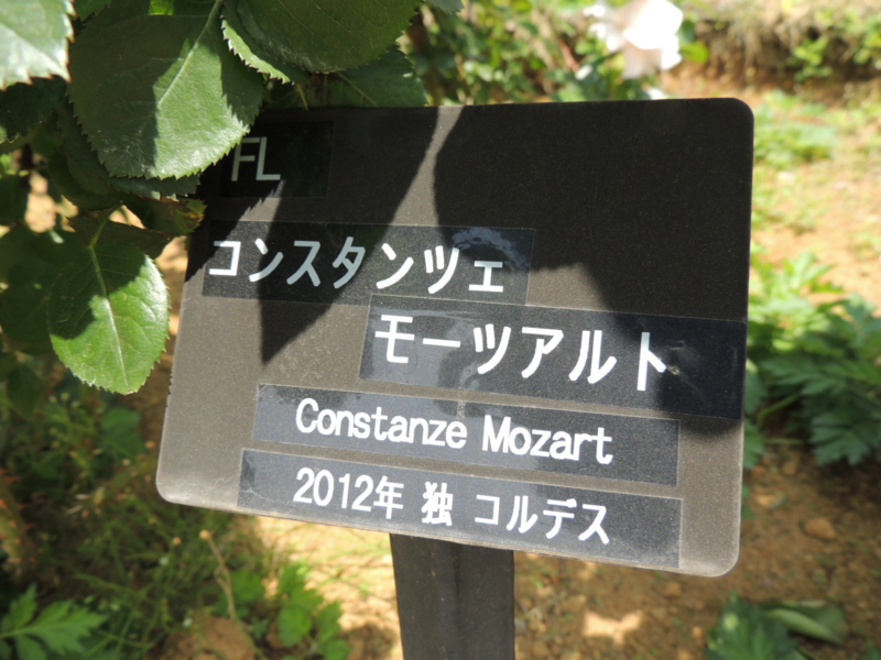 f:id:rotling:20160516124205j:image