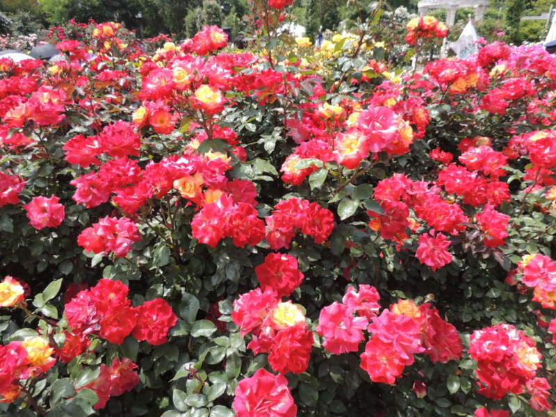 f:id:rotling:20160516125818j:image