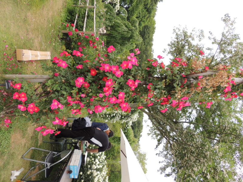 f:id:rotling:20160516142159j:image