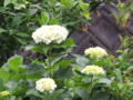 20160529085939