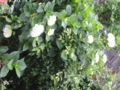20160529085951