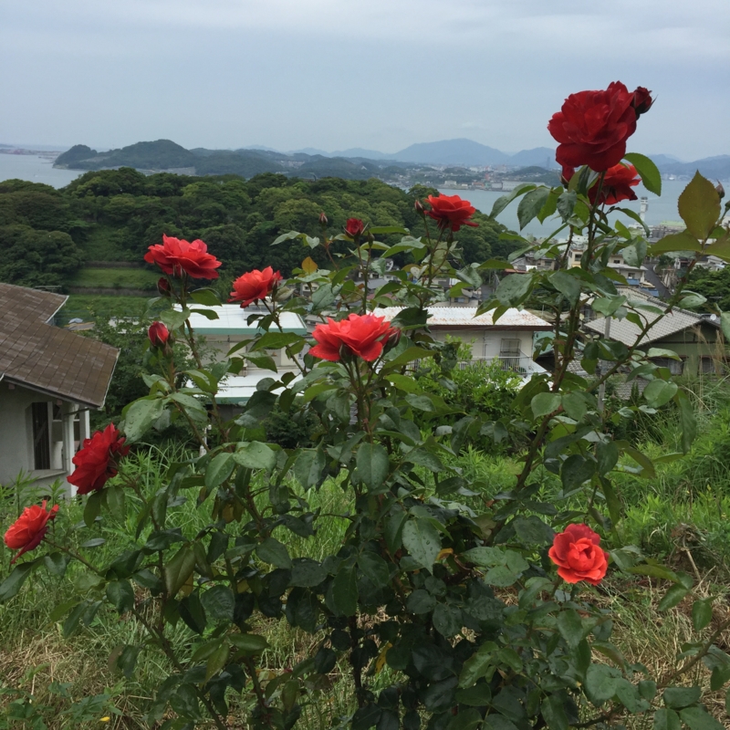 f:id:rotling:20160604104047j:image