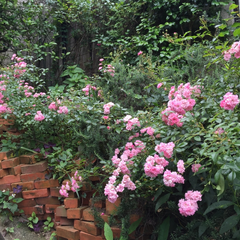 f:id:rotling:20160604104136j:image