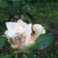 20160608152438