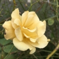20160724121143