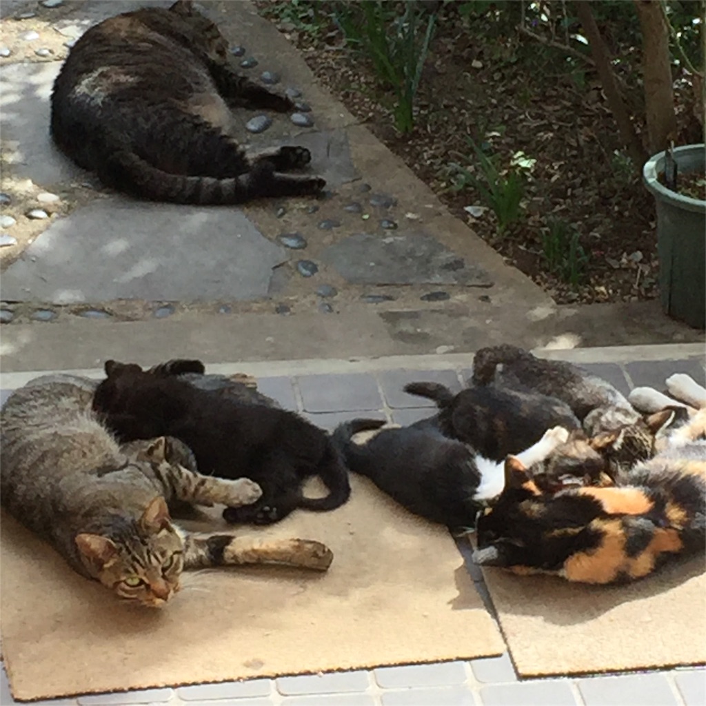 f:id:rotling:20161020132540j:image