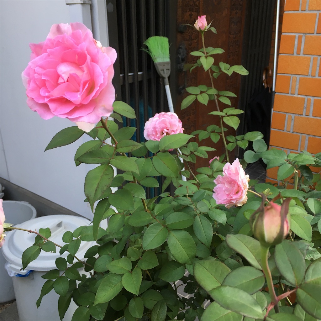 f:id:rotling:20181003080418j:image