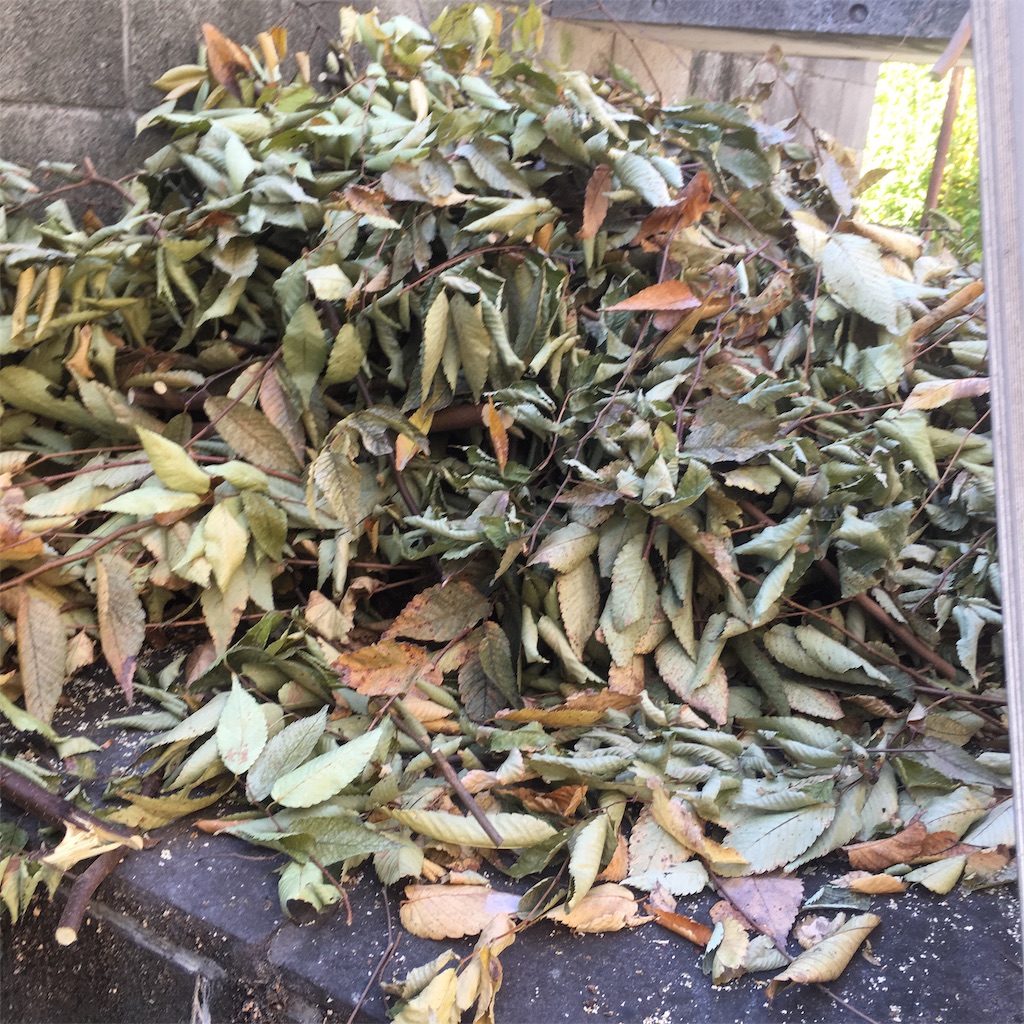 f:id:rotling:20181107122421j:image