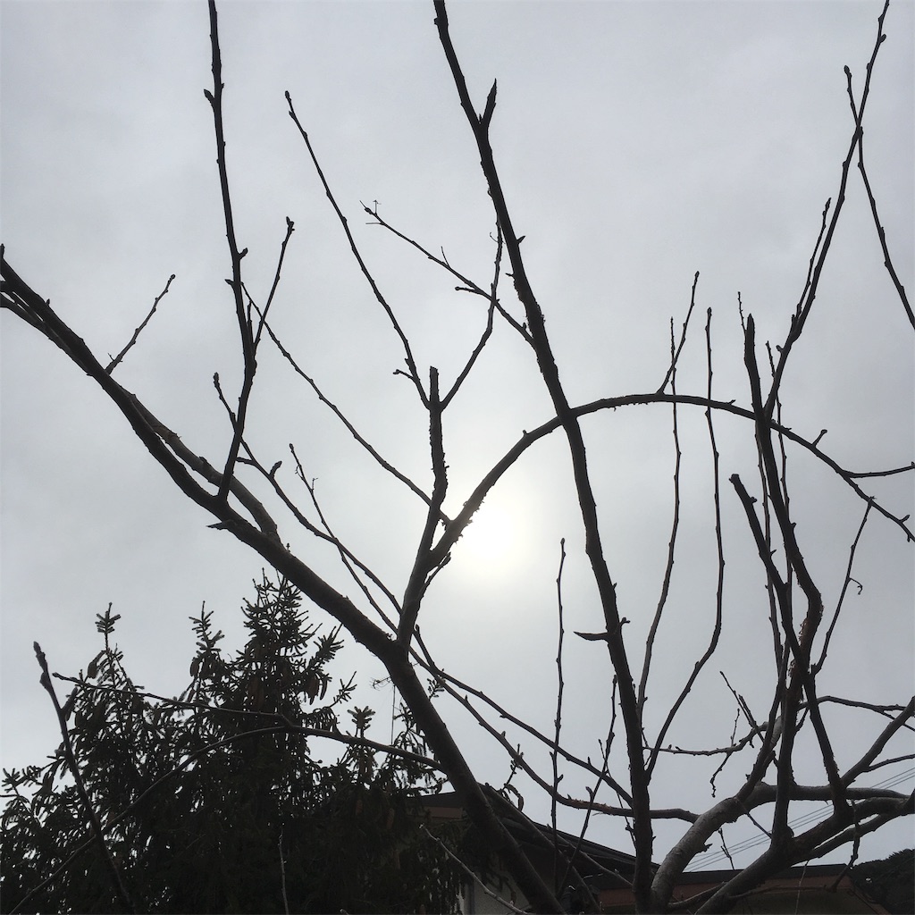 f:id:rotling:20190325101144j:image