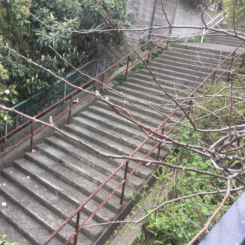f:id:rotling:20190325101209j:image