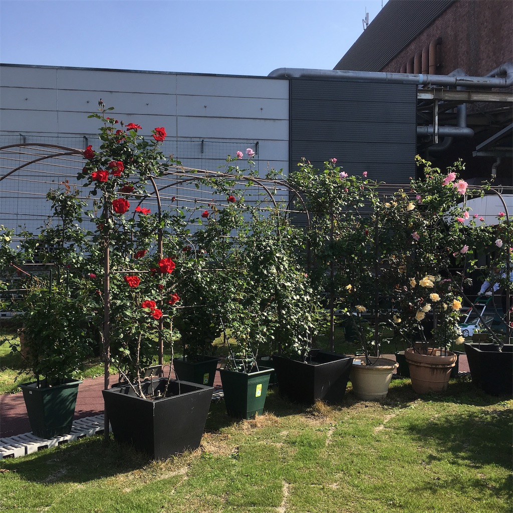 f:id:rotling:20190502233103j:image